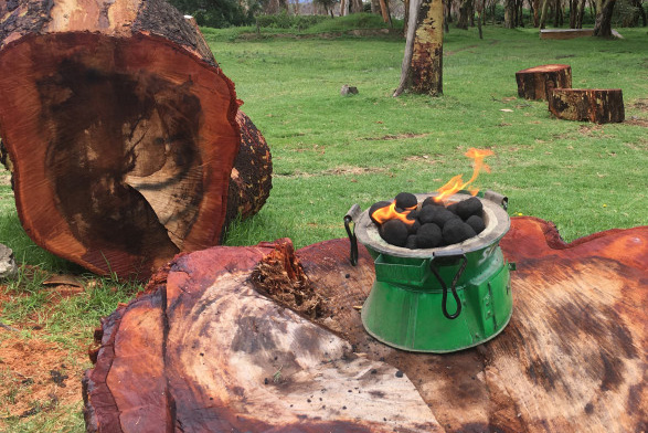 From Waste to Wealth: The Promise of Bioenergy for African Farmers