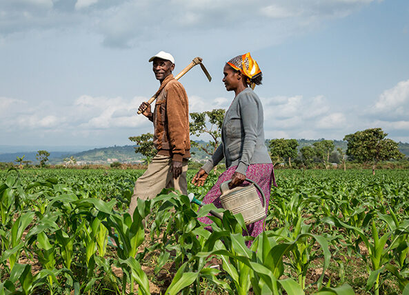 Empowering Farmers Through Knowledge: AGriKilimo’s Model of Sustainable Change